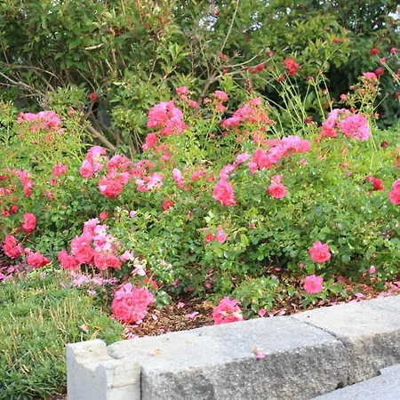 公寓 Daeschinger Zweiradparadies