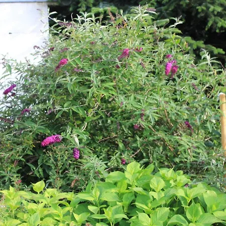 Daeschinger Zweiradparadies Apartman Mastershausen