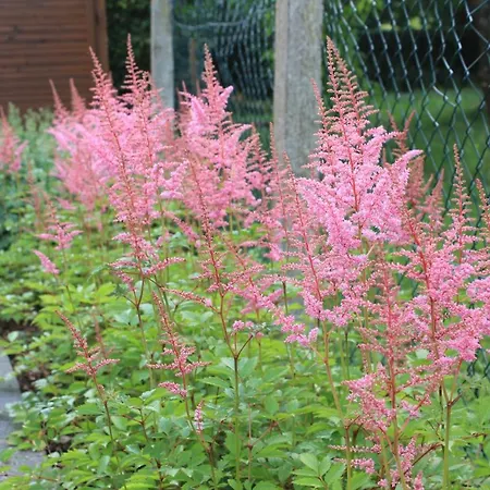 Daeschinger Zweiradparadies 公寓 Mastershausen