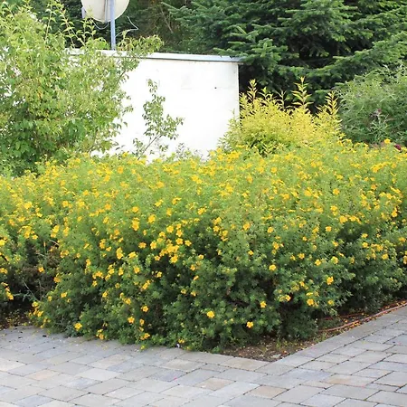 Daeschinger Zweiradparadies Apartman Mastershausen