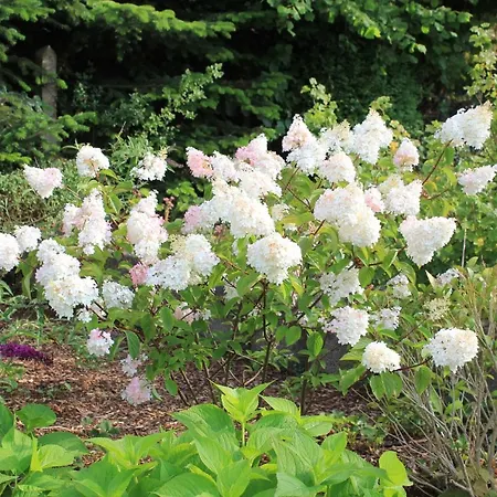 公寓 Daeschinger Zweiradparadies