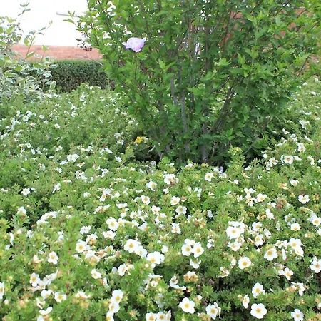 Daeschinger Zweiradparadies *