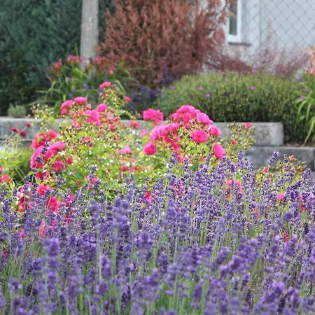 Daeschinger Zweiradparadies