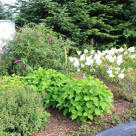 Daeschinger Zweiradparadies * Mastershausen