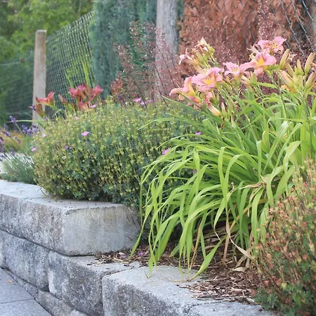 Daeschinger Zweiradparadies 公寓 *