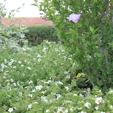 Daeschinger Zweiradparadies Apartman