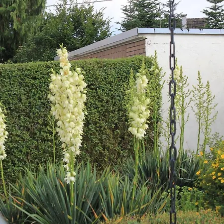 Apartman Daeschinger Zweiradparadies *