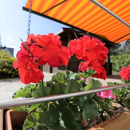 公寓 Daeschinger Zweiradparadies Mastershausen