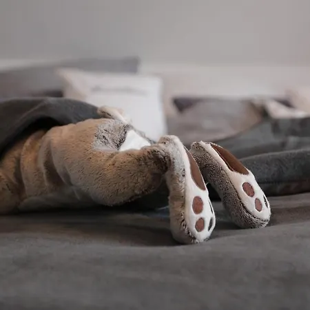 Daeschinger Zweiradparadies