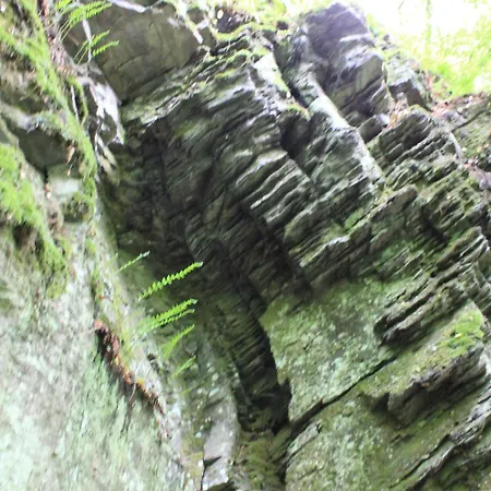 Daeschinger Zweiradparadies *