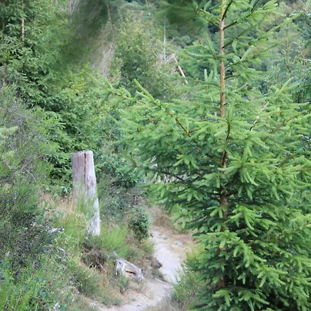 Daeschinger Zweiradparadies