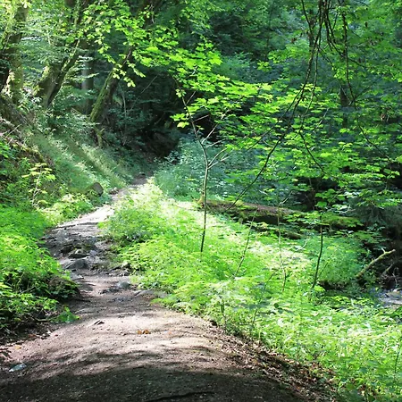 公寓 Daeschinger Zweiradparadies *