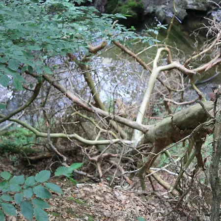 公寓 Daeschinger Zweiradparadies Mastershausen