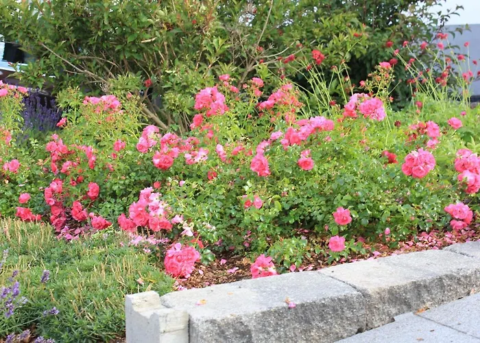 Apartament Daeschinger Zweiradparadies