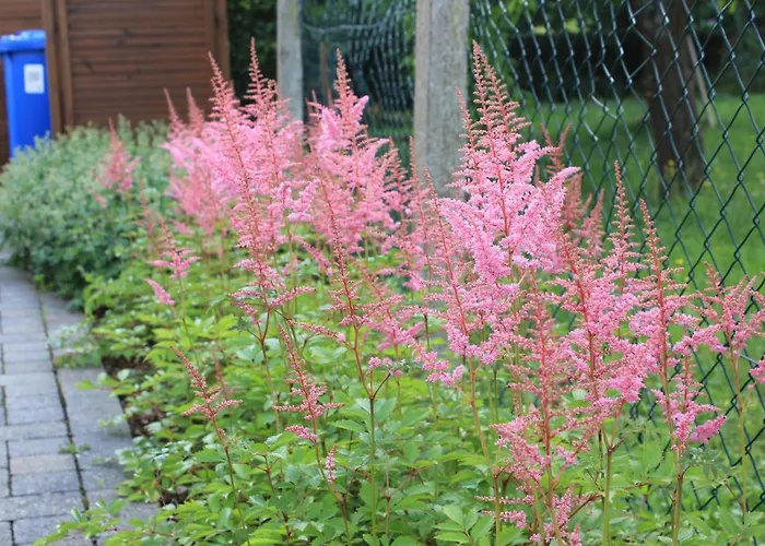 Daeschinger Zweiradparadies Apartament Mastershausen