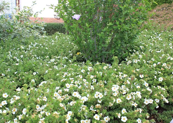 Daeschinger Zweiradparadies *