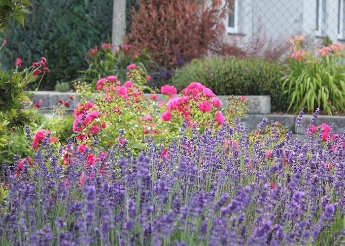 Daeschinger Zweiradparadies