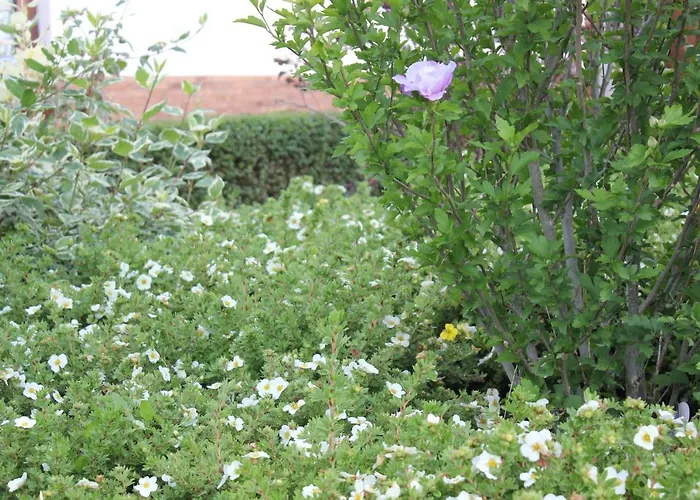 Daeschinger Zweiradparadies Apartament