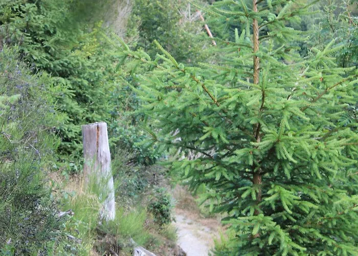 Daeschinger Zweiradparadies