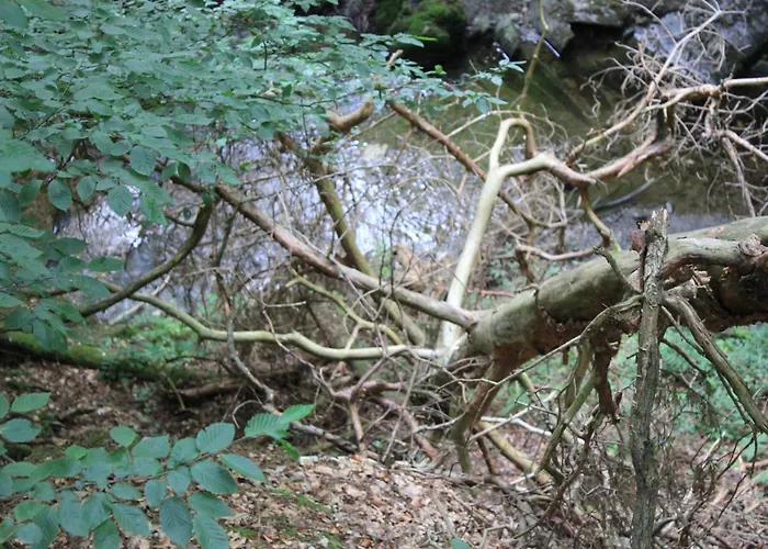 Apartament Daeschinger Zweiradparadies Mastershausen